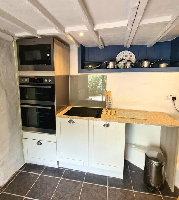 Mill Cottage Garden Annexe Newton Abbot Exteriér fotografie