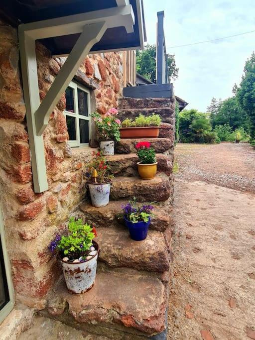 Mill Cottage Garden Annexe Newton Abbot Exteriér fotografie